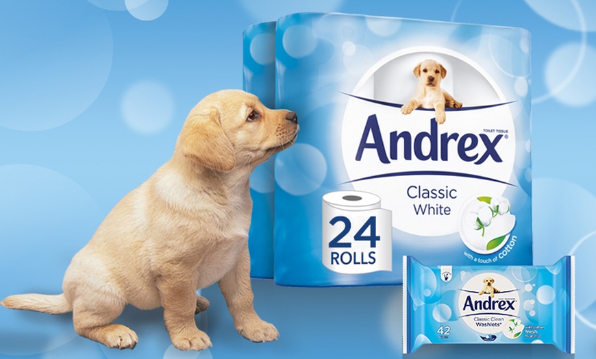 Image 2: Andrex Toilet Paper