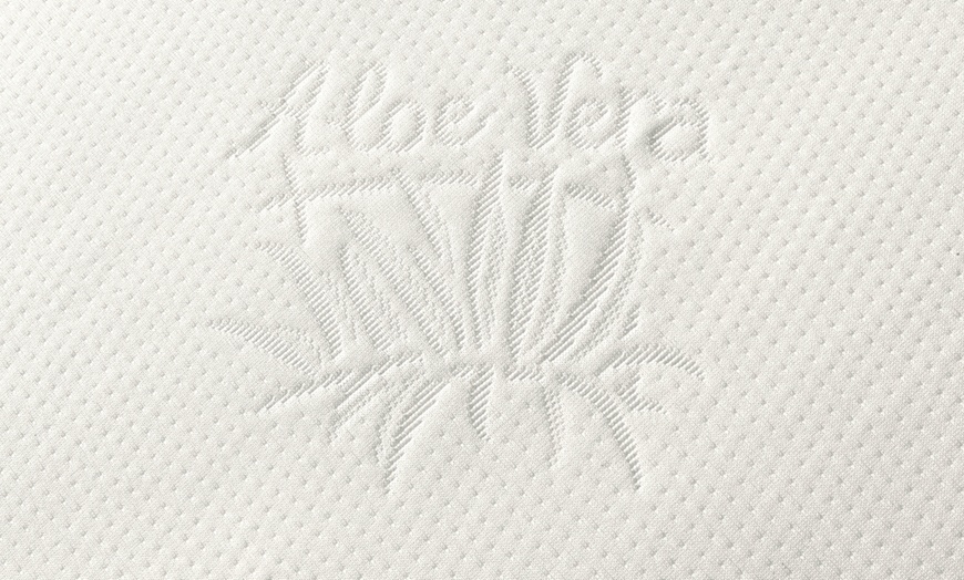 Image 5: 1, 2 o 4 guanciali in Memory Foam con rivestimento Aloe Vera Soff.Im