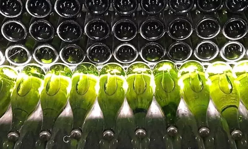 Visita guiada a bodega con cata de 3 vinos para 2, 4 o 6 personas