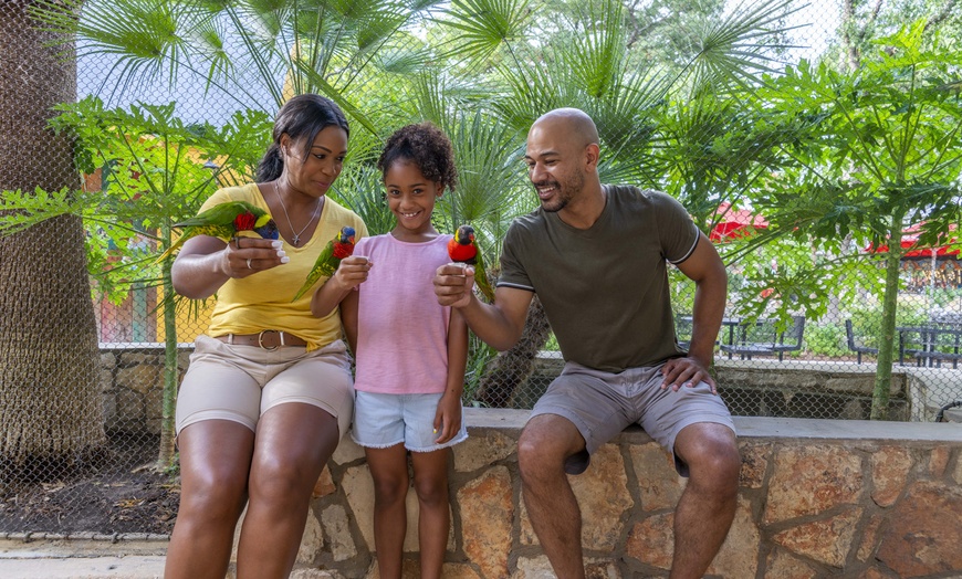 Image 18: FLASH SALE! Exhilarating Wildlife Adventure at San Antonio Zoo!