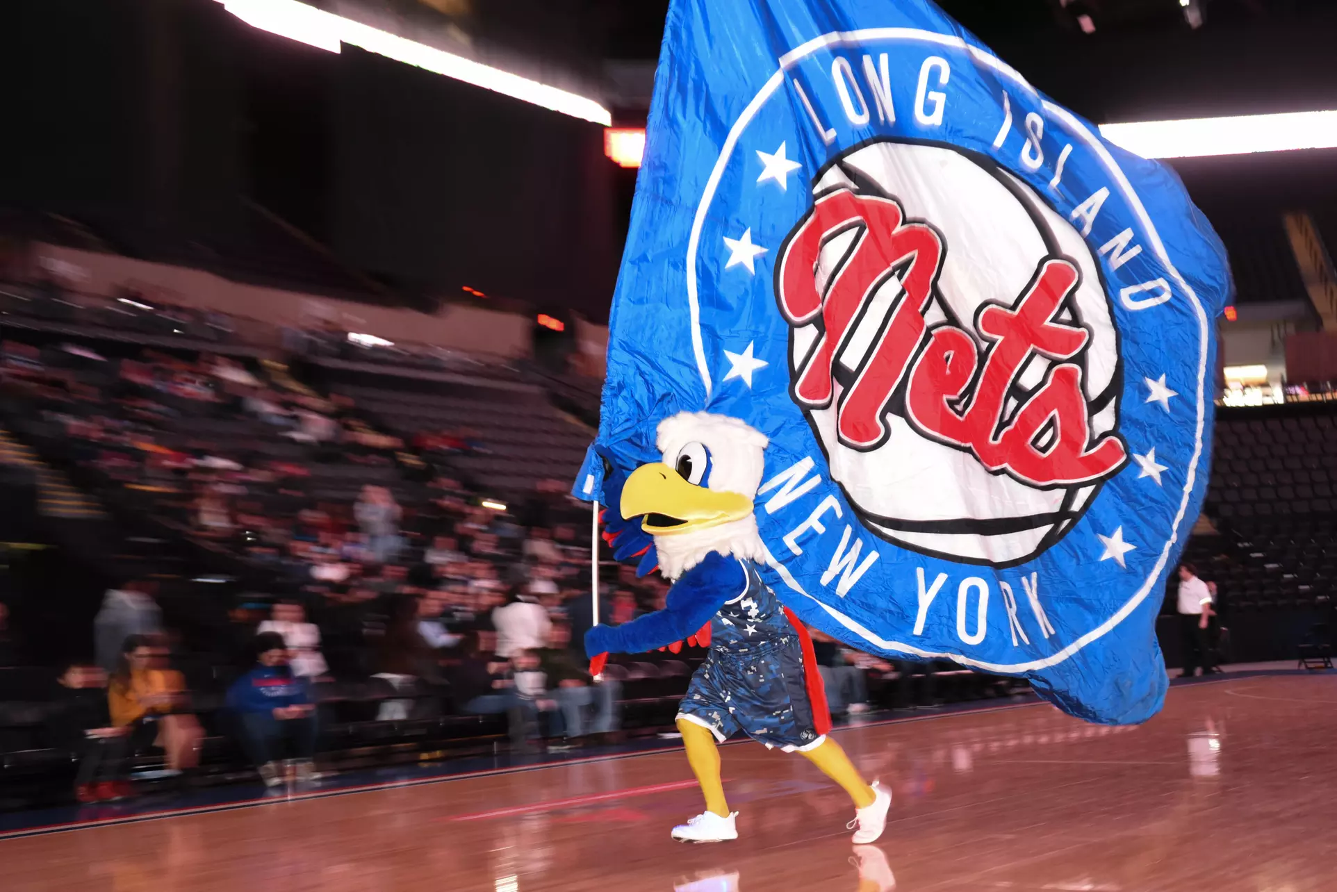 Long Island Nets (Through March 14) - Primary Image