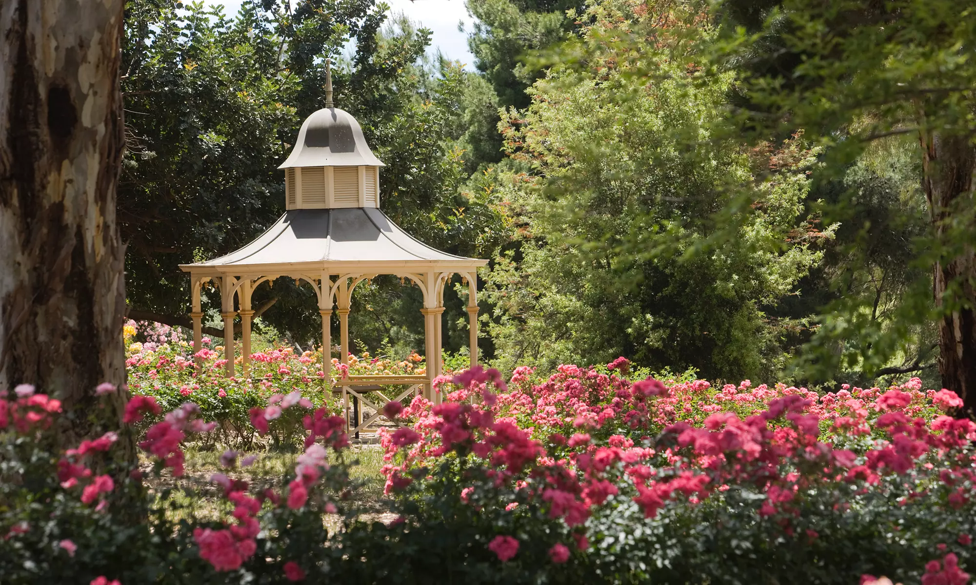 High / Luxury High Tea Experience With Take-home Gift!