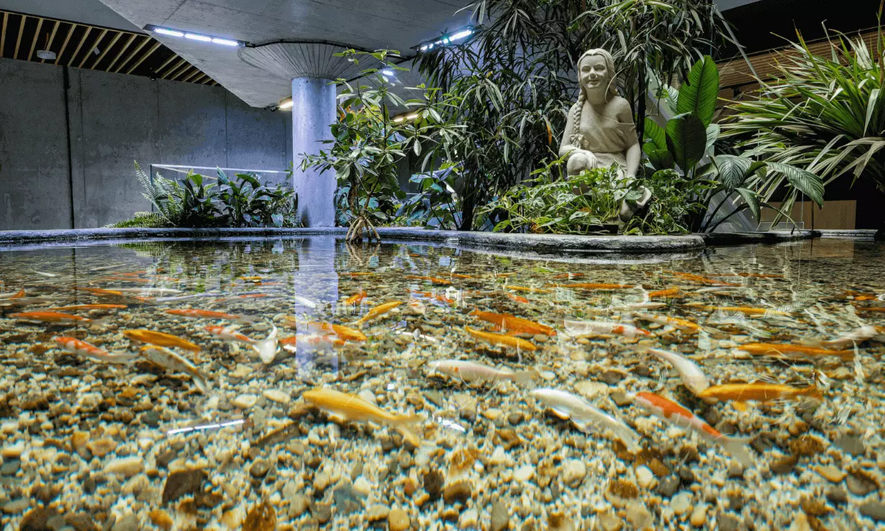 Zobacz z bliska egzotyczne rośliny i zwierzęta: bilety do Egzotarium