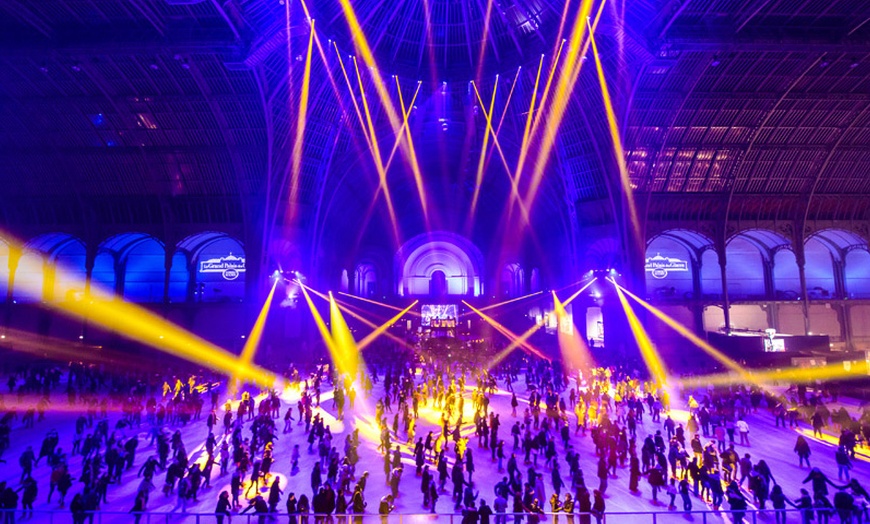 Image 1: Une entrée adulte ou enfant au Grand Palais Des Glaces
