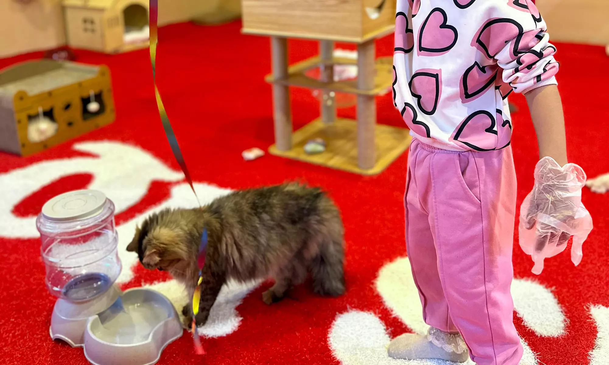 General Entry Ticket for Two Hours or Full Day