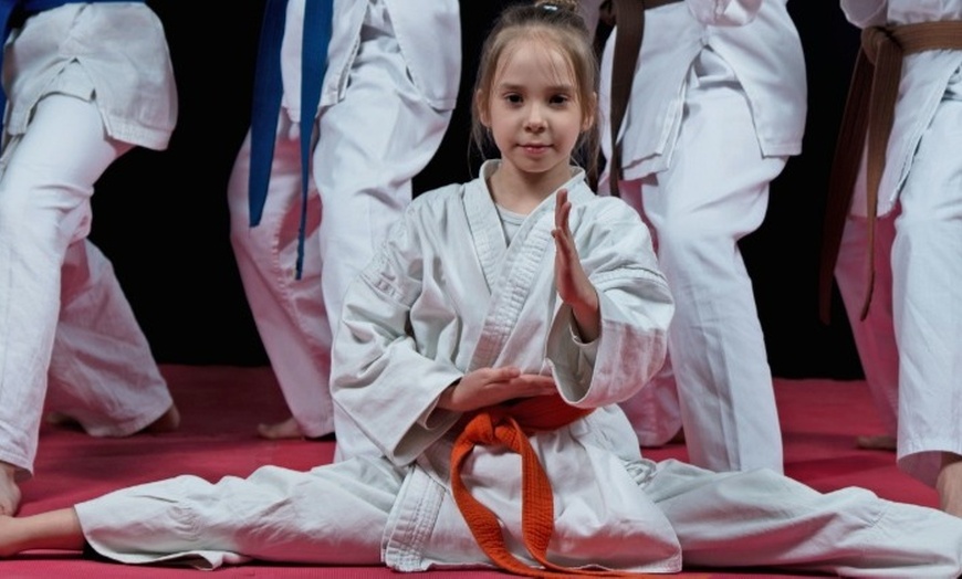 Image 1: Family MMA and Self-Defence Class