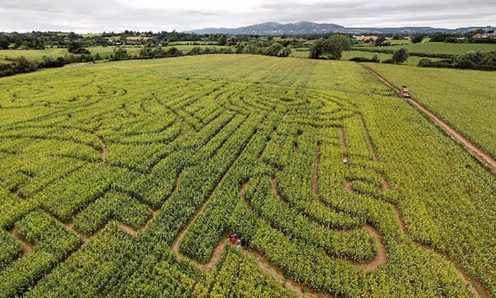 Maize Maze in - Powick | Groupon