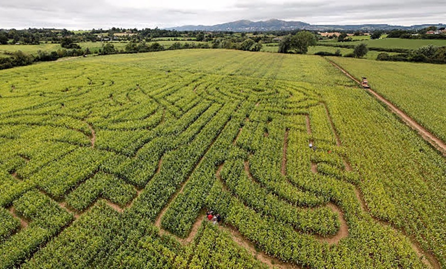 Image 1: Maize Maze Entry, Worcester