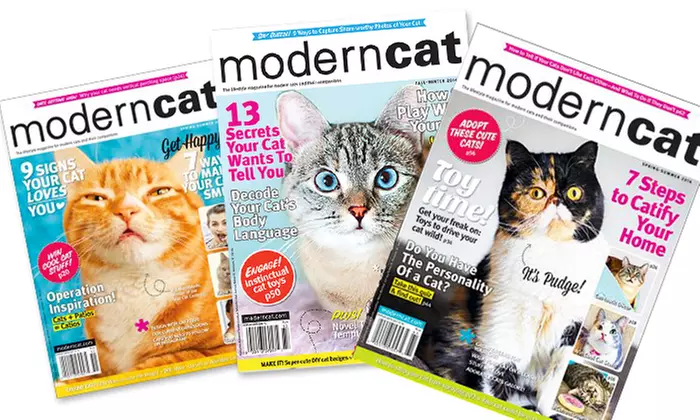 $9 for a Two-Year Subscription to "Modern Cat" magazine ($18 value) - Primary Image