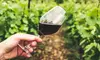 Wine Tasting and Glass of Sangria for One, Two, or Four People at Wilhelm Family Vineyards (Up to 33% Off)
