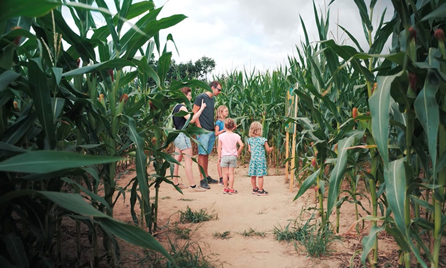 Image 3: Entrée au Pop Corn Labyrinthe