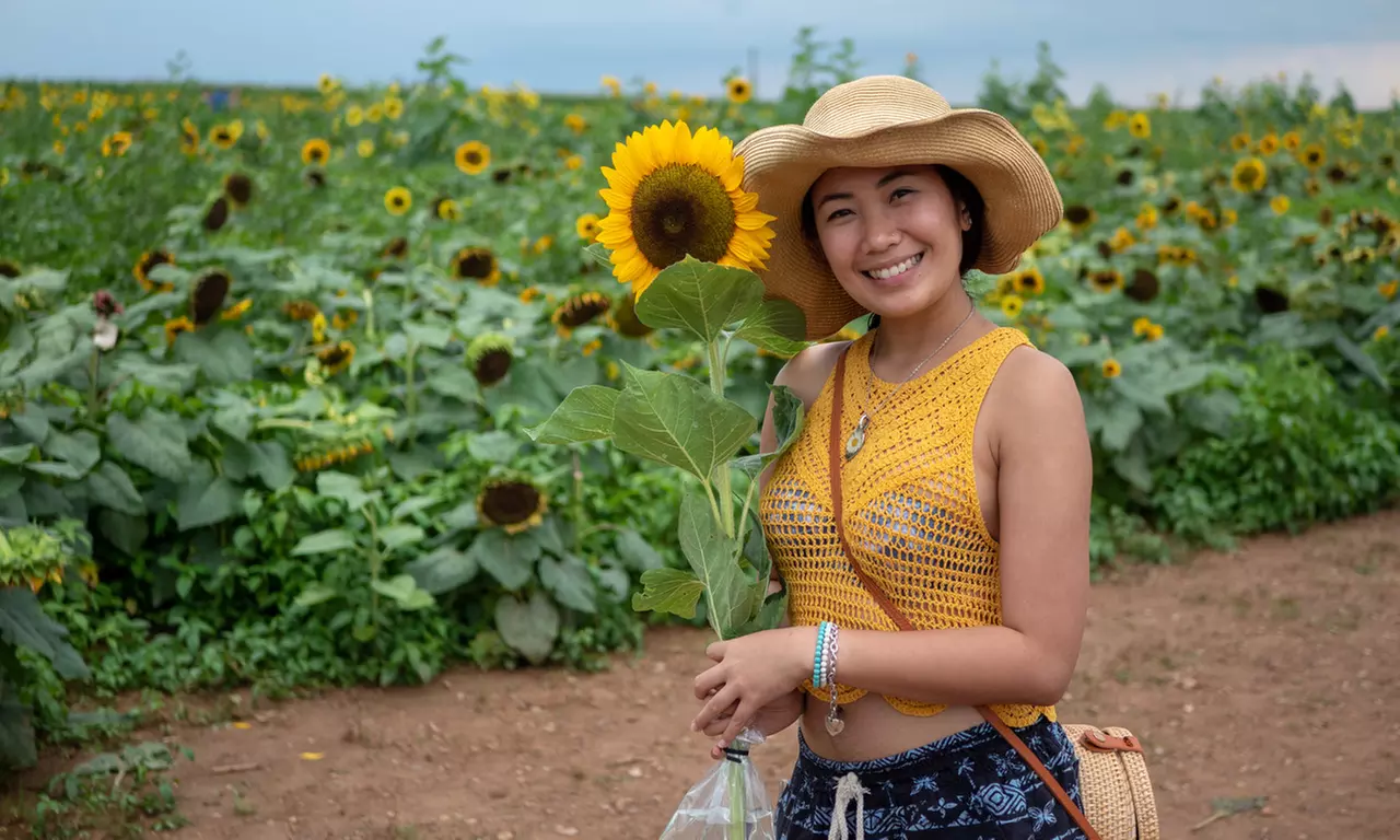 $35 for Two Single-Day Tickets to Sunflower Festival on August 6–8, 13–15, and 20–22 ($50 Value) - Primary Image