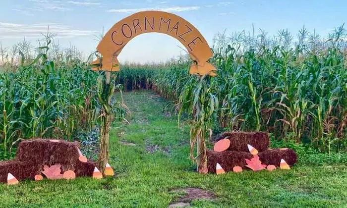 Single-Day Admission to Fall Festival at Amber Brooke Farms Williston (Up to 33% Off). Eight Options Available.  - Primary Image