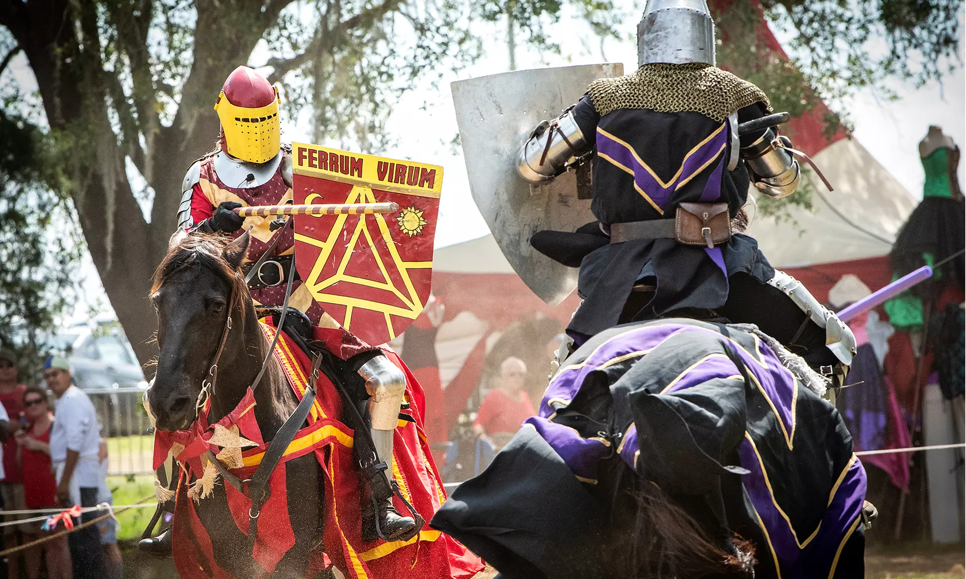 Minnesota Renaissance Festival Tickets! Aug 16 - Sept 28! 