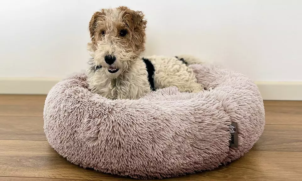 Cuccia extra-soffice per gatti e cani