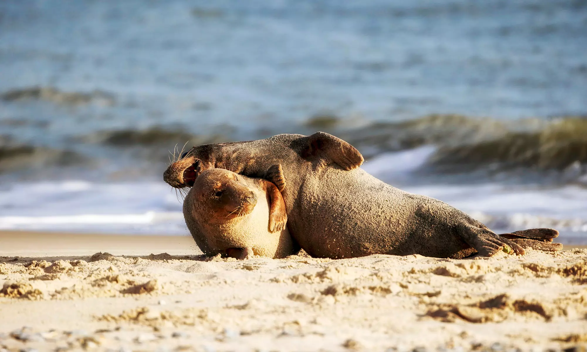 Nordsee/Wilhelmshaven: 3-4 romantische Tage zu zweit inkl. Romantikfrühstück, Flasche Sekt im Hotel Ammerland - Primary Image