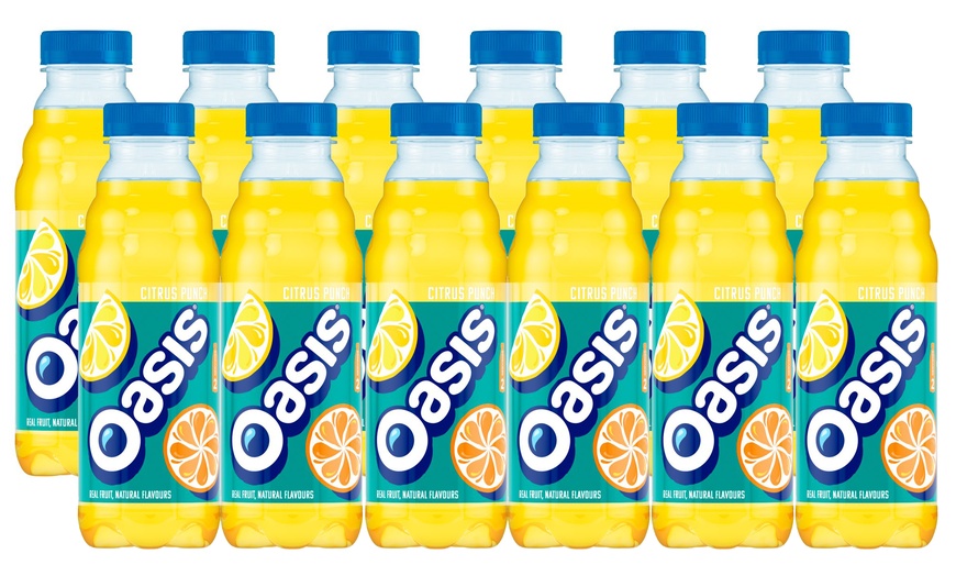 Image 2: 12 Bottles of Oasis Drink 500ml