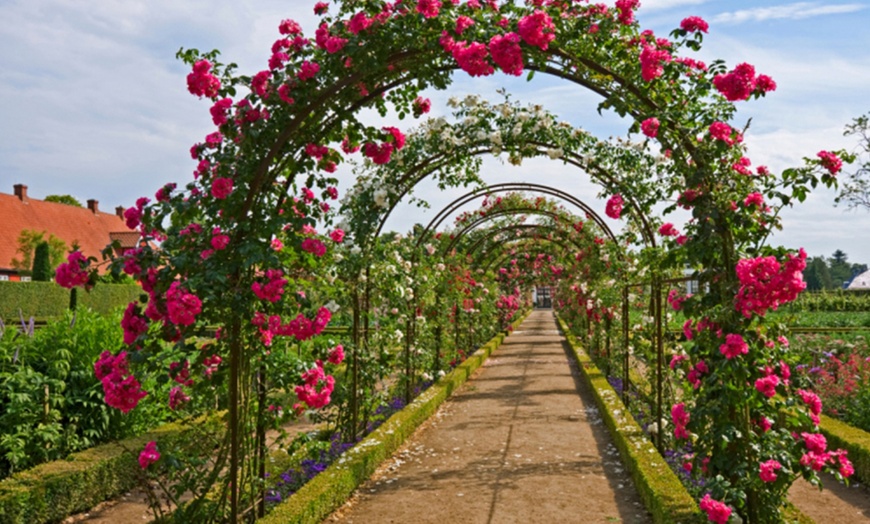 Image 1: Arco da giardino Galileo