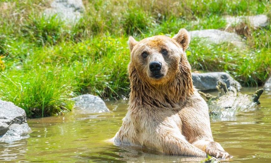 Image 6: Billet adulte ou enfant pour le Zoo d'Amneville