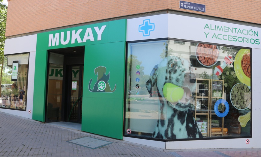 Image 6: Vacunas para perros o gatos con Centro Veterinario Mukay Vallecas