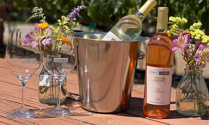 Embark on a Wine Tasting Journey with Vineyard Grant James, Offering Packages for Two or Four People, Up to 50% Off - Second Medium