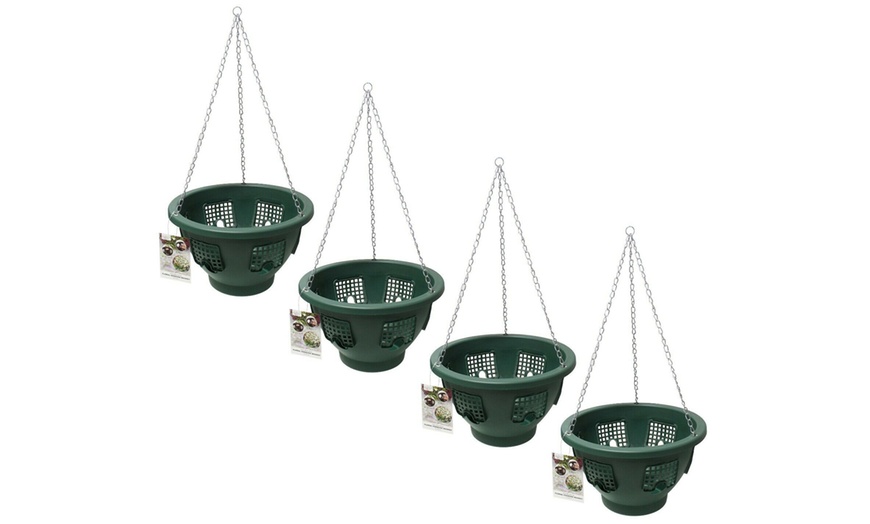 Image 7: Two, Three or Four Flower Bloom Hanging Baskets