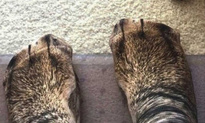 Image 3: Animal Paw Printed Socks