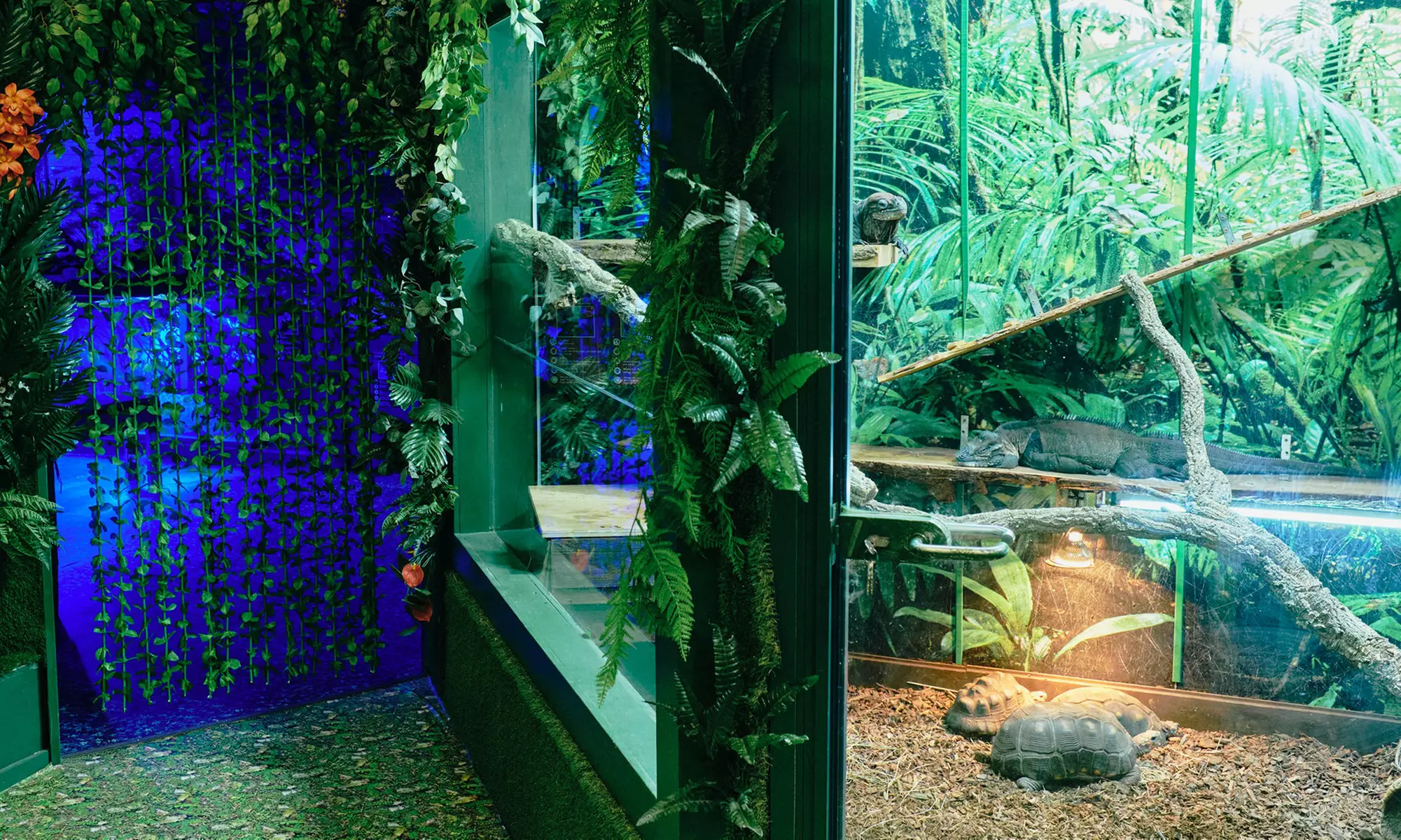 Up to 14% Off on Zoo / Animal Park at Get To Know Animals