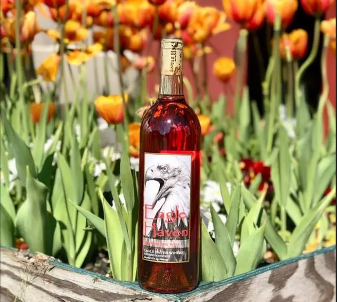 Wine Tasting for Two, Three, Four, Six, Eight, or Ten People at Eagle Haven Winery (Up to 40% Off) - Second Medium