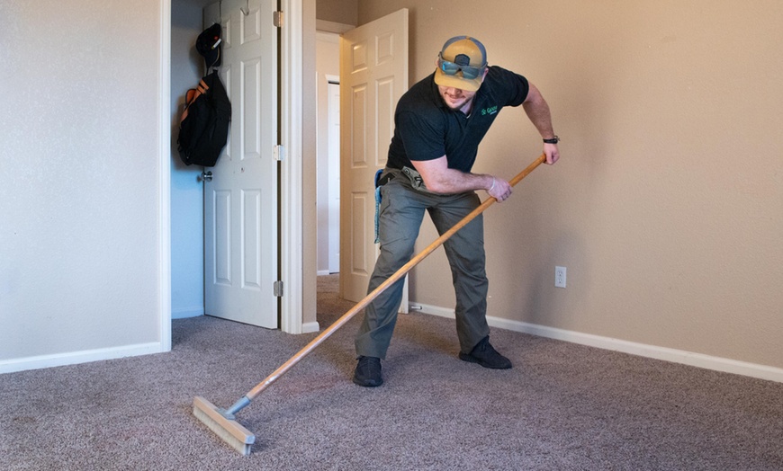 Image 3: Eco-Friendly Carpet Cleaning for 3 - 6 Rooms (Hallway Included)