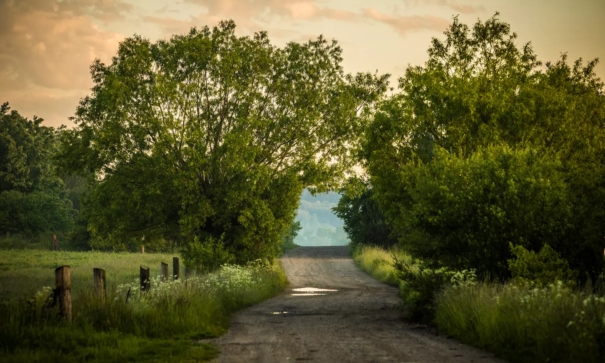 Odkryj tajemnice winiarstwa: Zwiedzanie Winnicy Zbrodzice z degustacją
