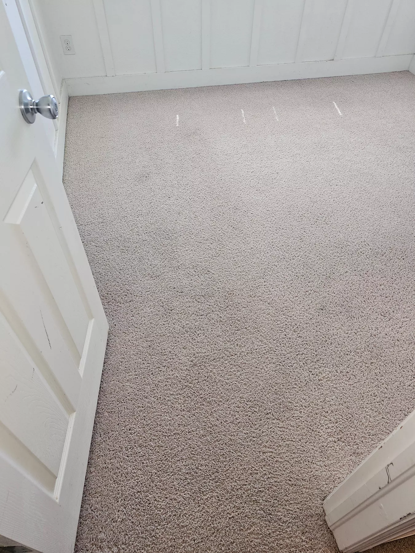 Aggro Carpet Cleaning for 3, 5, or 8 Rooms Up to 1250 Sq. Ft, 58% off