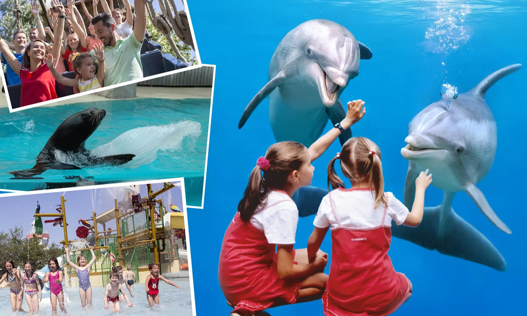 Entrée pour 1 personne à partir d'1 mètre pour le Boudewijn Seapark (37% de réduction) - Primary Image