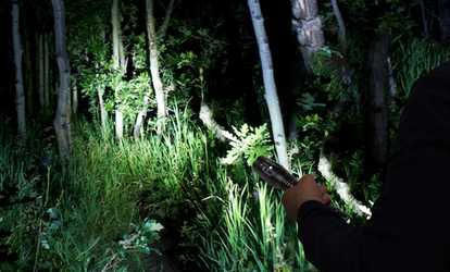 image for CREE XML-T6 800LM LED Flashlight with Rechargeable Batteries (2-Pack)