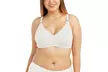 Women's No-Wire Bras (6-Pack) - Second Medium