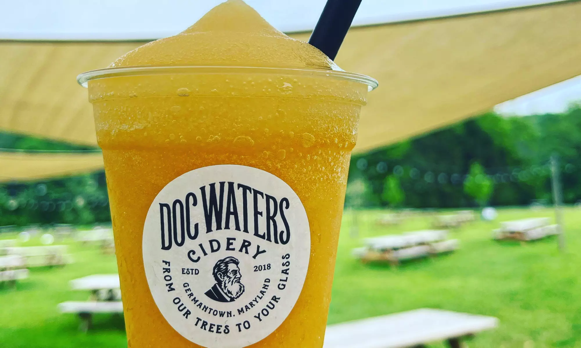 One or Two Cider Flights or One Take-Home Growler with Fill at Doc Waters Cidery - Second Medium