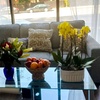 Image 3: Japanese Head Spa Package with Massage, Facial 