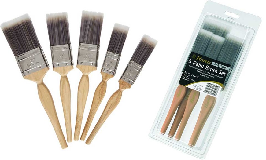 Image 3: LH Harris Platinum Brush Set