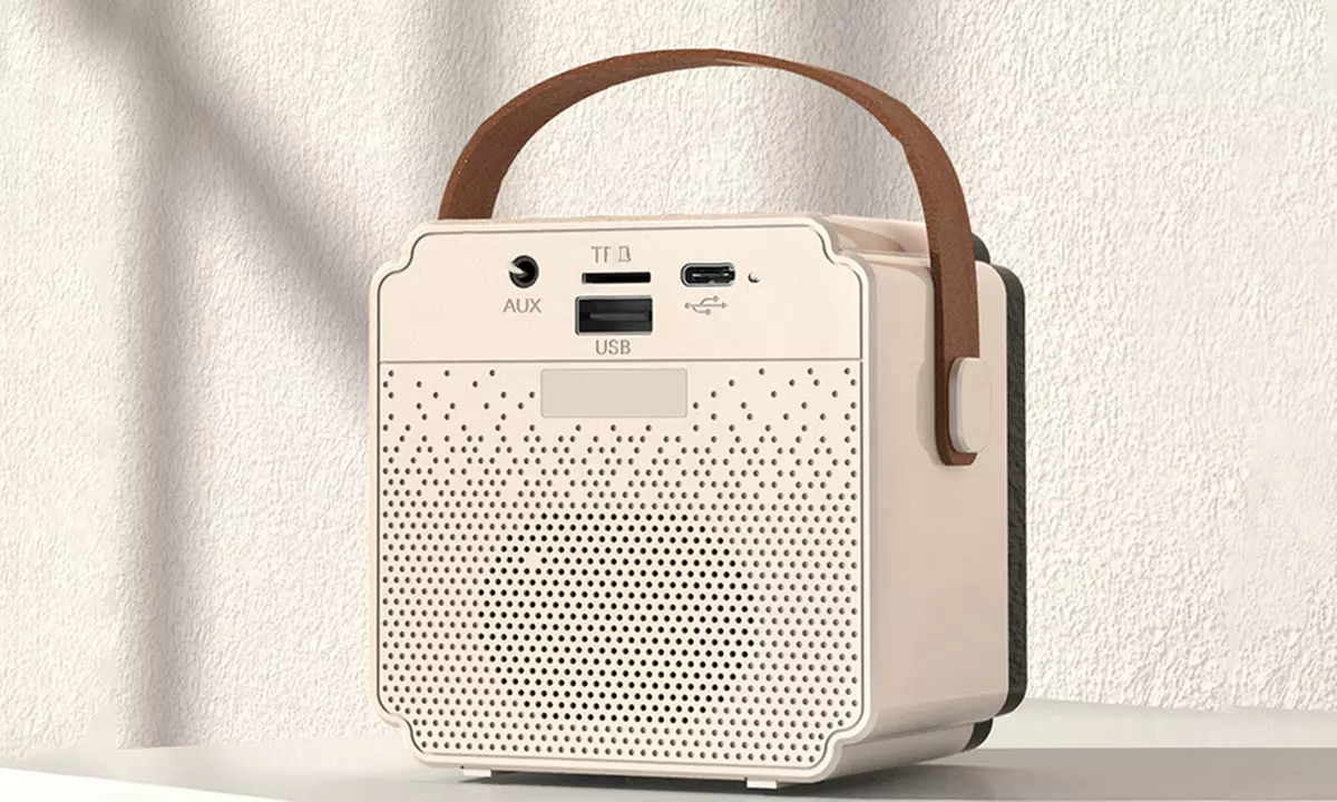 Bluetooth-Lautsprecher mit 2 kabellosen Mikrofonen und Beleuchtung