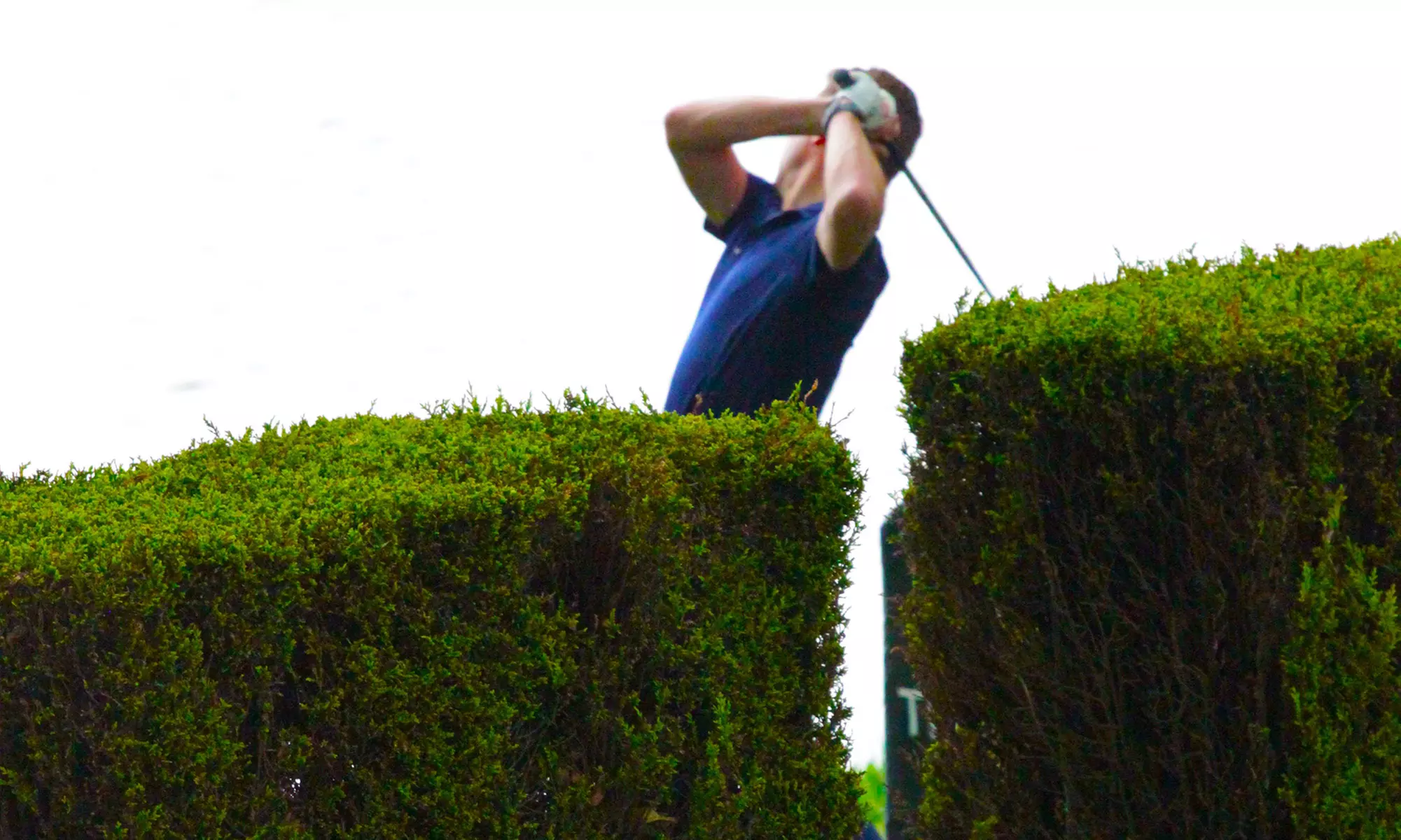 Golf Lessons With Analysis (£29) or Custom Club Fitting and Equipment Check (£35) at The Golf School - Primary Image