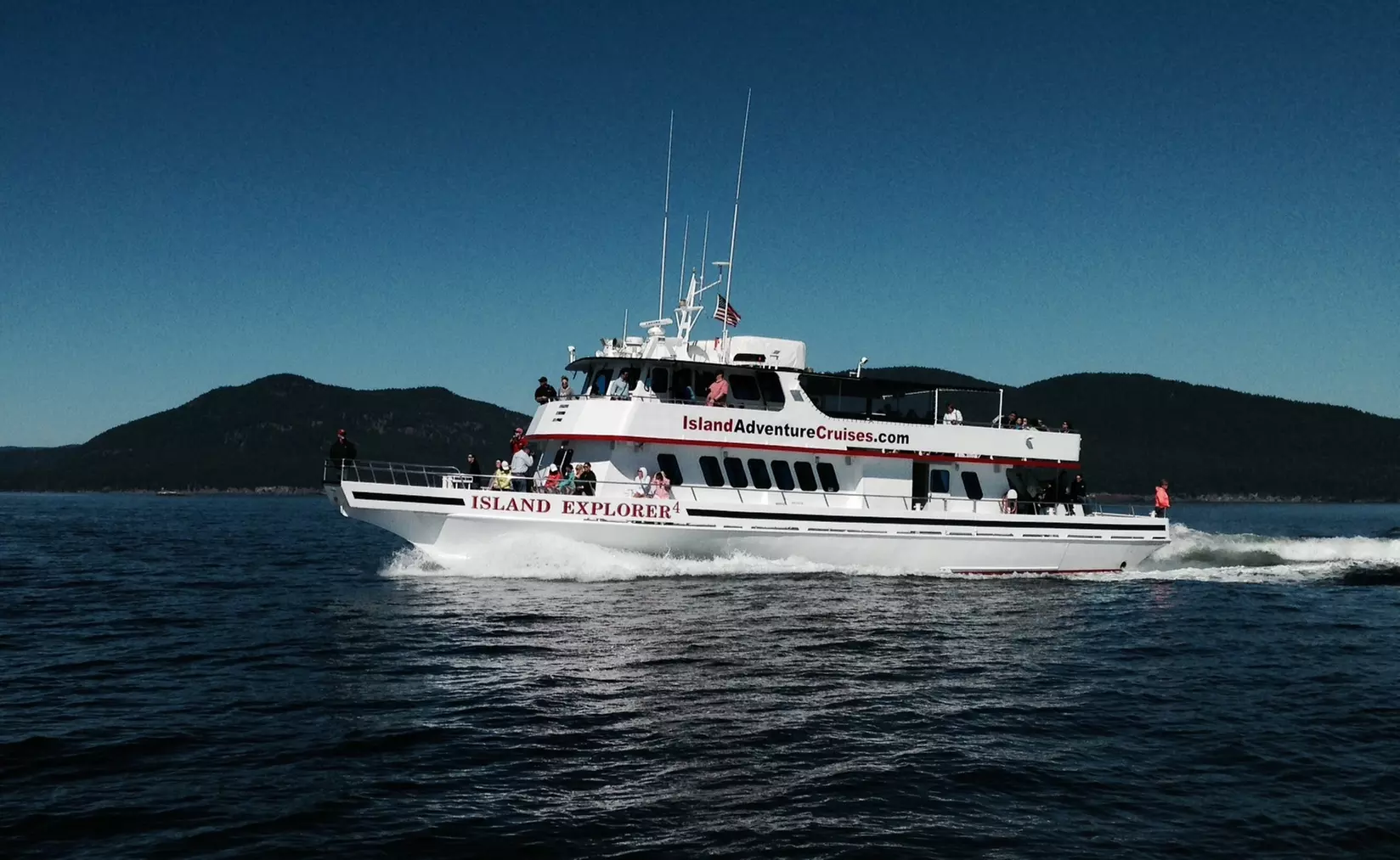 $79 for Four-Hour Guaranteed Whale Watching Tour for One at Island Adventures ($109 Value) - Primary Image