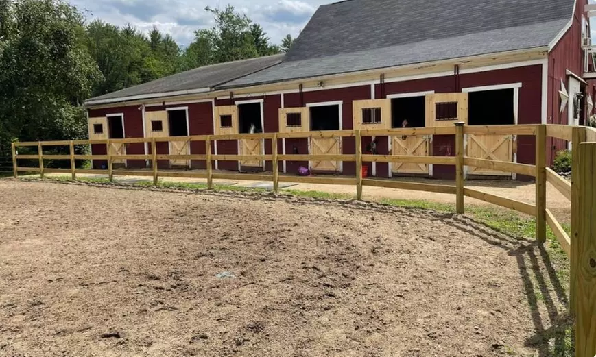 Up to 51% Off on Horse Back Riding - Training at COLLEEN M FITZPATRICK - Primary Image