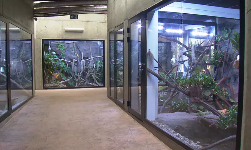 Zobacz z bliska egzotyczne rośliny i zwierzęta: bilety do Egzotarium