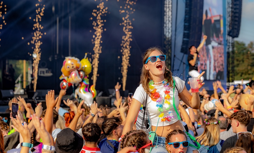 Image 2: Stehplatz-Ticket für Inselfieber