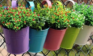 10 Colourful Hanging Flower Pots