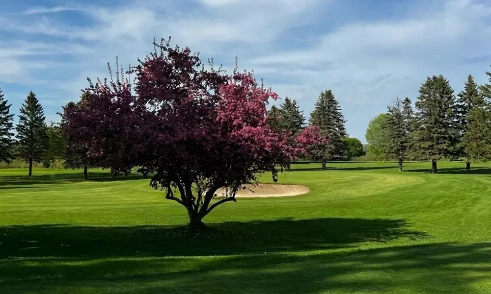 18-Hole Golf Round with Cart – Fremont