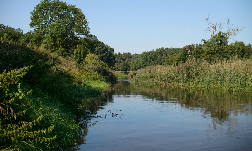 Image 6: Urokliwe spływy kajakowe w Dolinie Baryczy: 4 trasy do wyboru