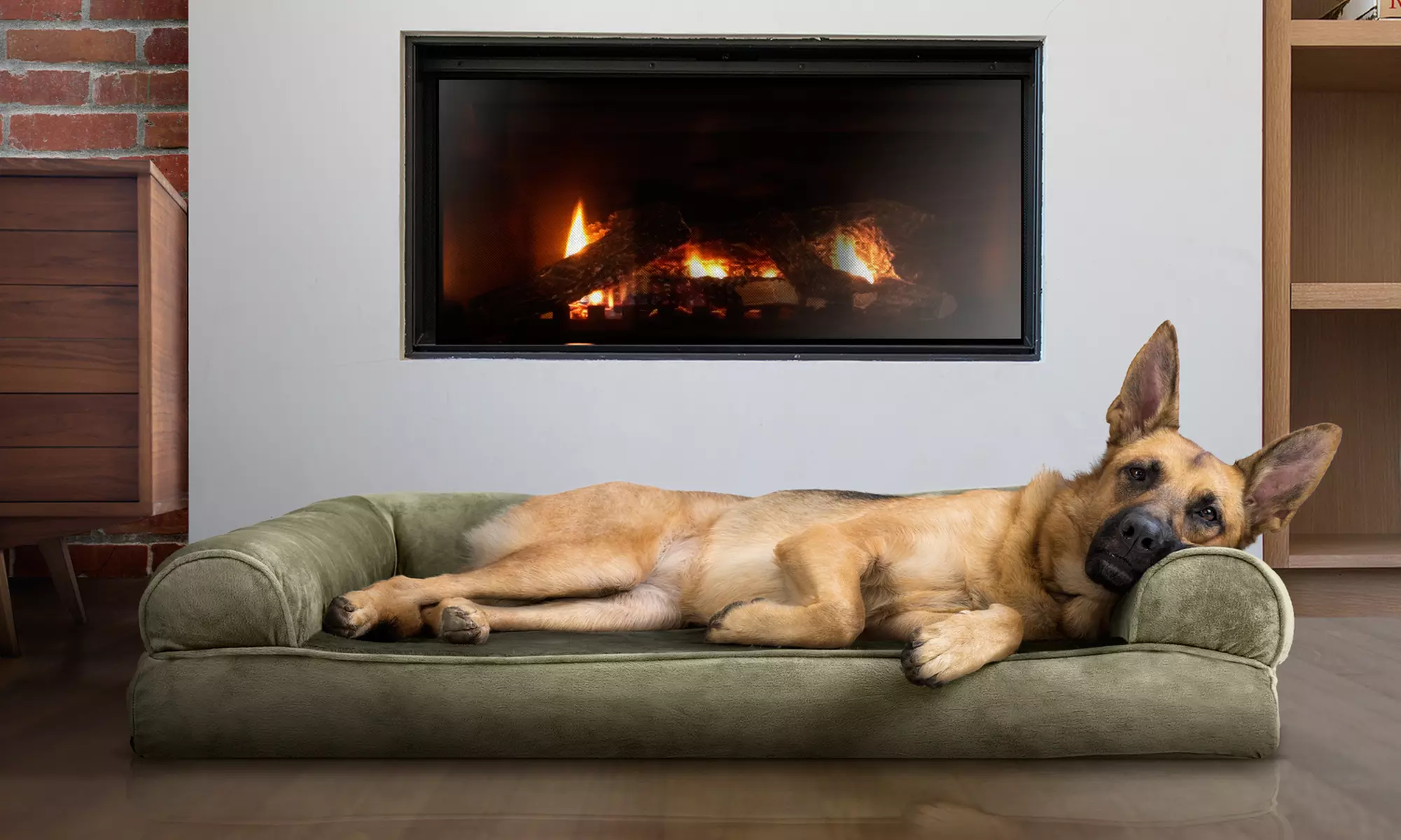 Furhaven Memory Foam Cooling Gel Pet Sofa Dog Bed. Multiple Options. - Primary Image