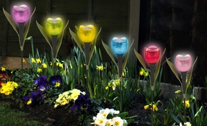 Set of 6 or 12 Tulip-Shaped Garden Solar Lights