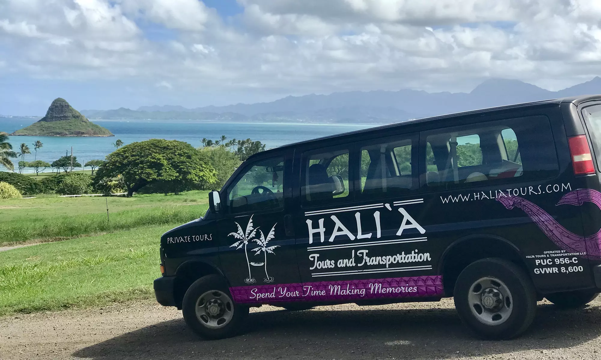 Private Tour from Hali'a Tours And Transportation (Up to 30% Off). Four Options Available. - Primary Image